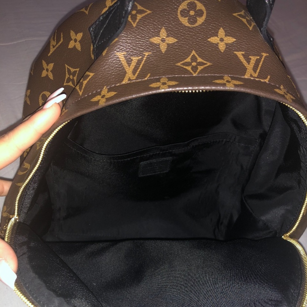 Louis Vuitton Palmsprings Mm backpack